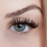 Daisy volume lashes FRONT